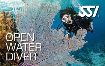 Open Water Diver